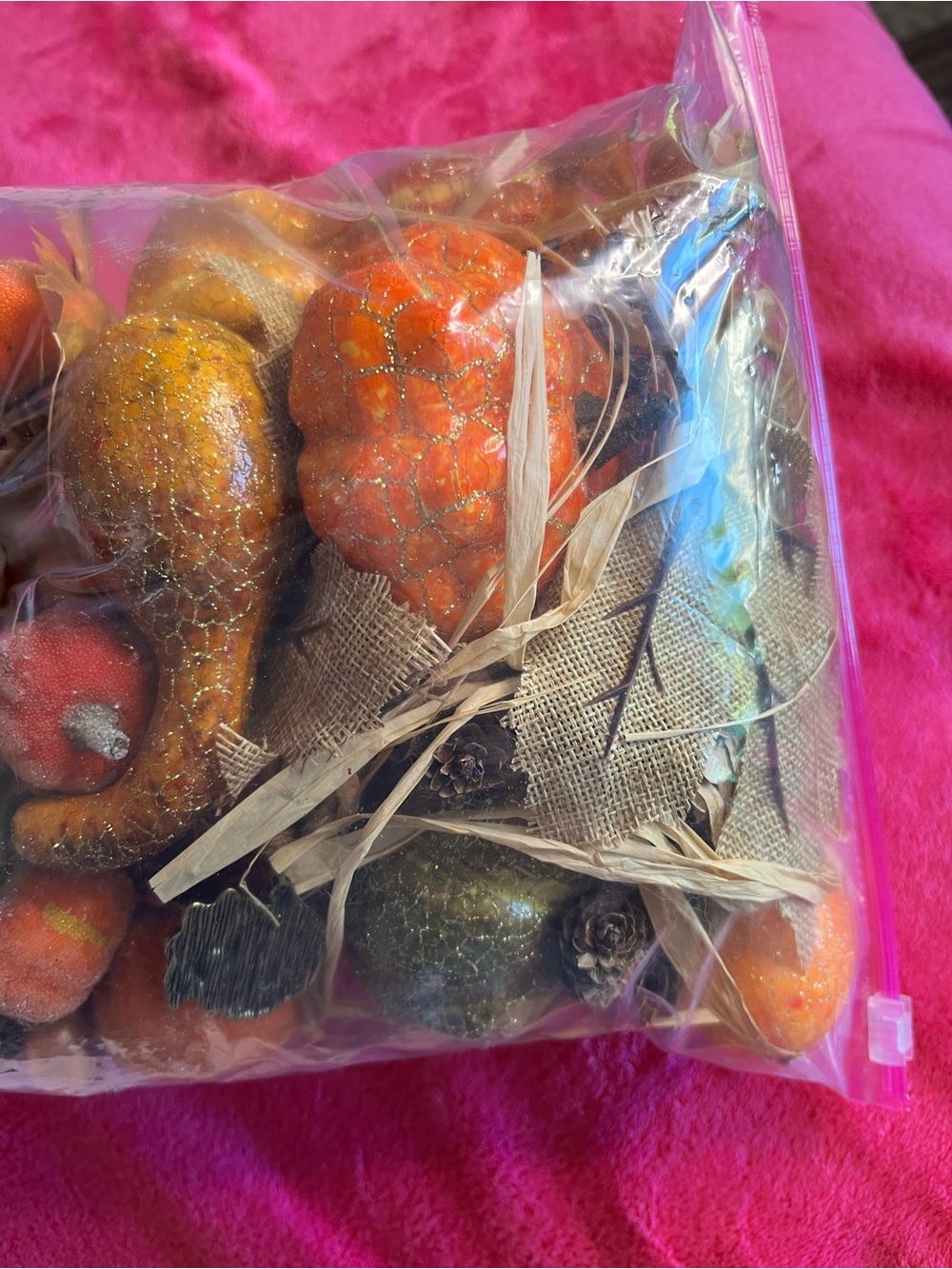 Bag of Decorative Gourds, Pumpkins, Acorns, Pinecones, etc